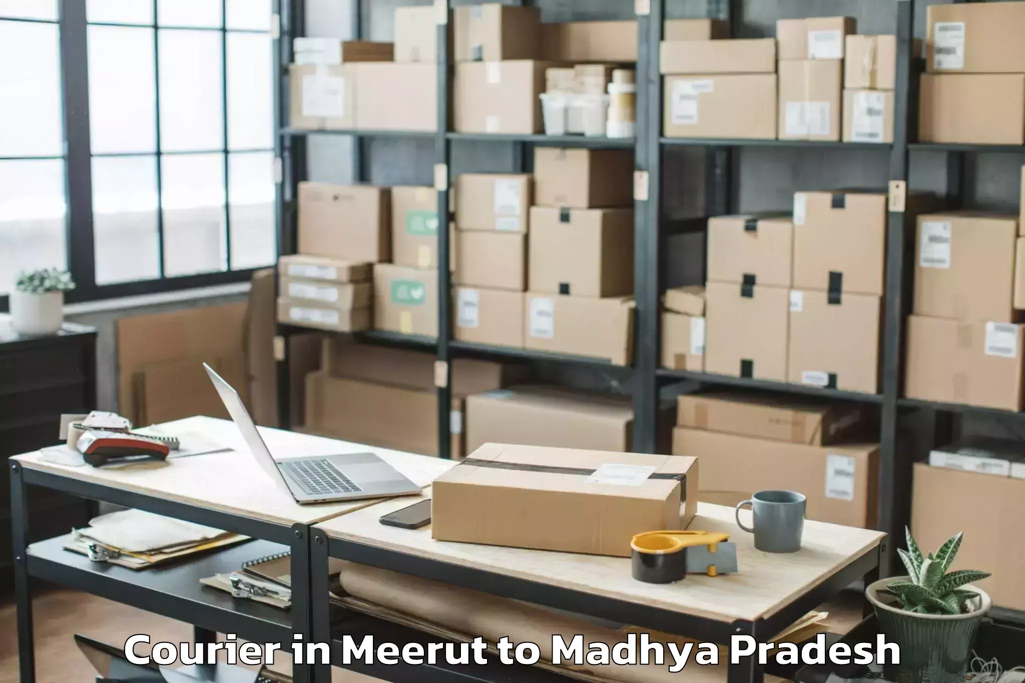 Book Meerut to Kalapipal Mandi Courier Online